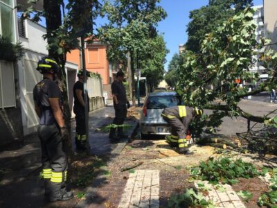 vigili fuoco cologno