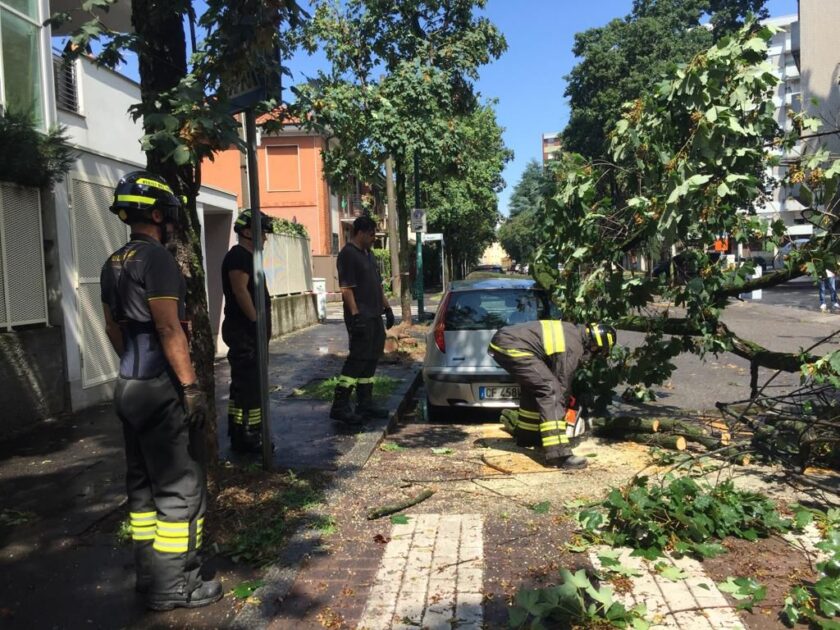 vigili fuoco cologno