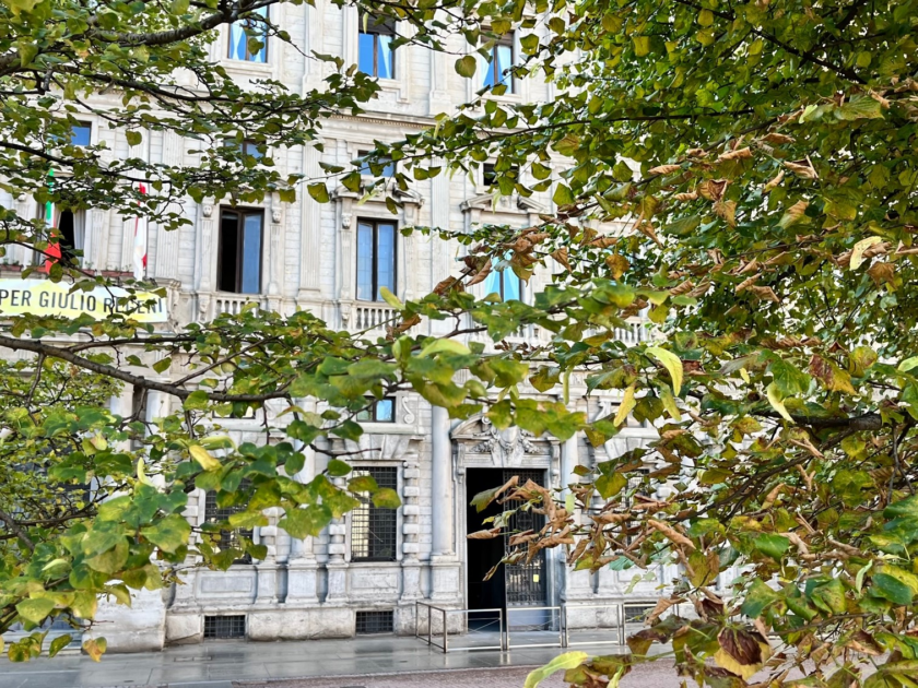 albero milano
