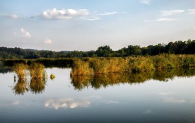torbiere-sebino-biodiversità