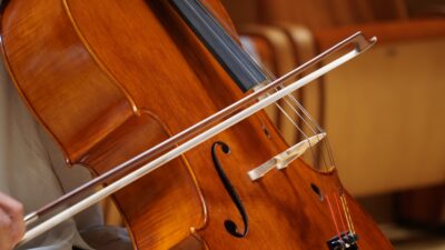 violino