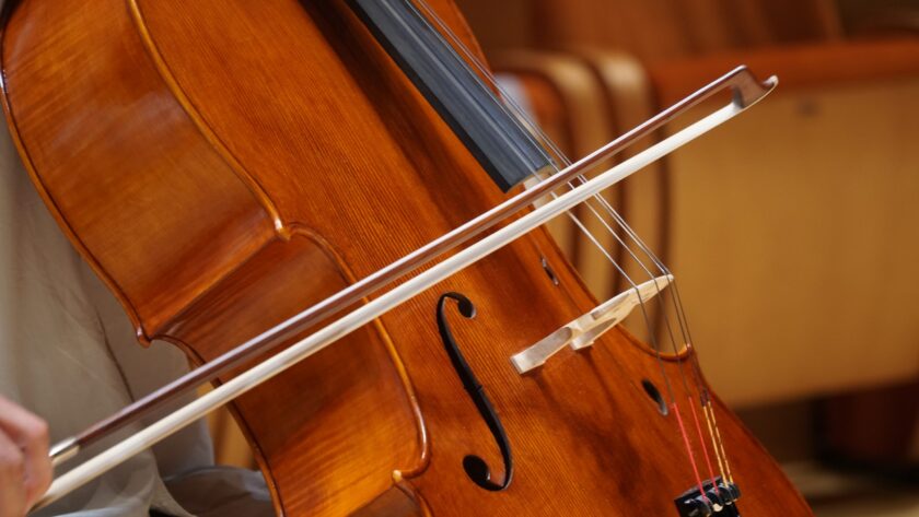 violino