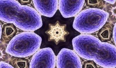 cellule