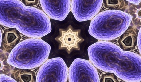 cellule
