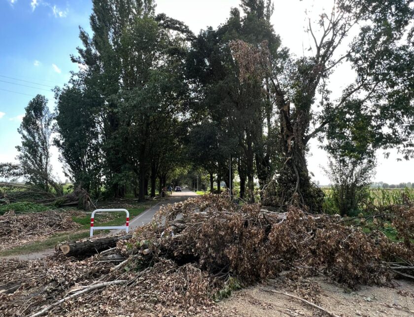 maltempo san giuliano bis
