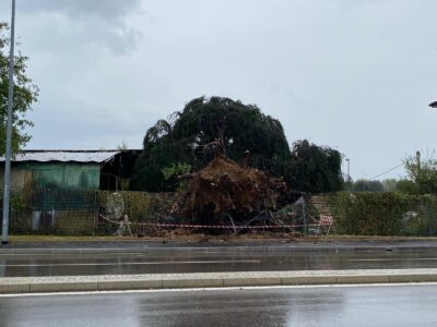 maltempo saronno