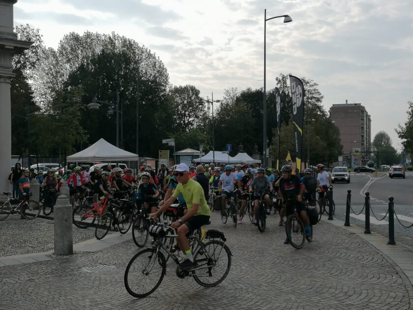 saronno laveno
