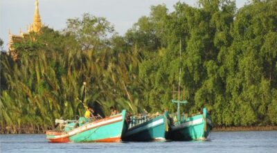 mostra peschiera