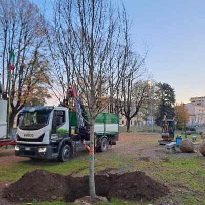 piantumazioni saronno
