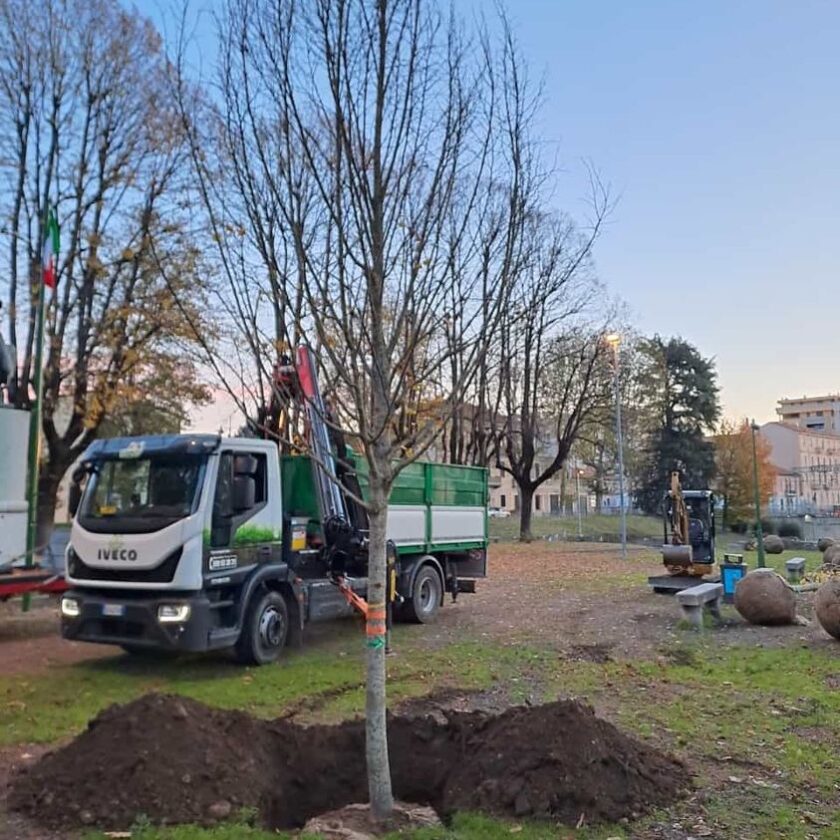 piantumazioni saronno