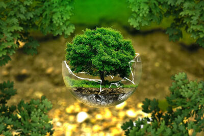 Ambiente