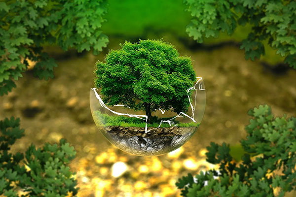 Ambiente