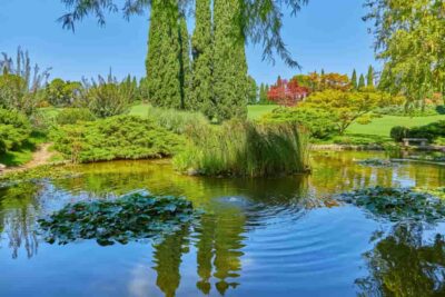 Parco-del-Mincio-MN-min