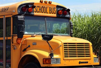meda affidamento del servizio di trasporto scolastico