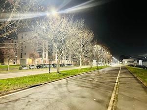 viale edison