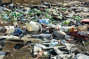 plastic free