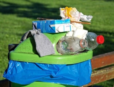 raccolta rifiuti giornata ecologica
