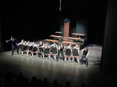 teatro dell'armadillo