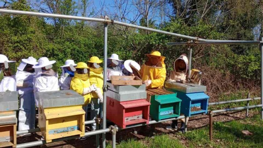 biodiversita pieve emanuele-min
