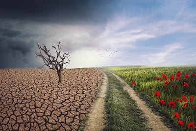 cambiamento climatico
