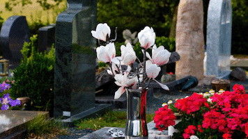 cimitero