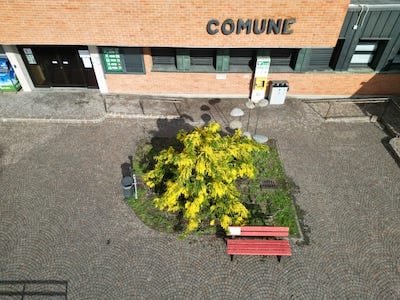 comune cusano milanino festa donne