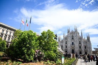 aiuola verde milano
