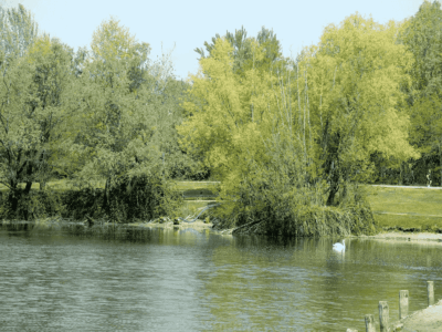 ambiente milano-min