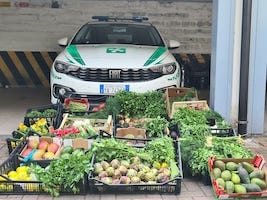 blitz mercato rho