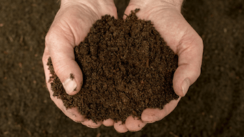 compostaggio