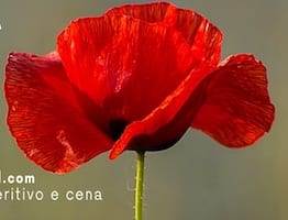 locandina 25 aprile