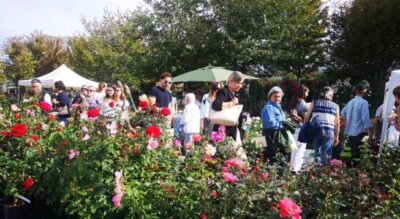 mostra fiori