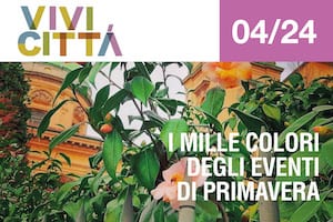 vivi città