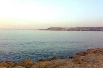 mare