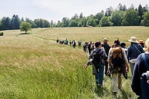 paesaggi condivisi