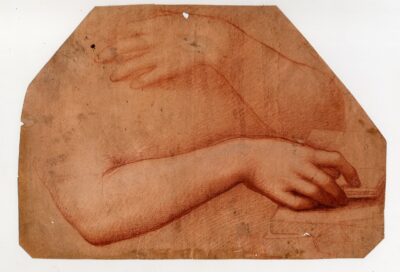 Giampietrino, Studio di braccia di Maddalena penitente. Gabinetto dei Disegni del Castello Sforzesco-min