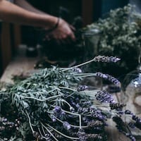 lavanda
