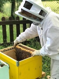 api - oasi biodiversita