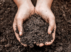 compost