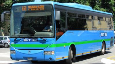 stie saronno
