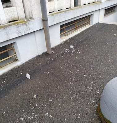 vandali cimitero lumini