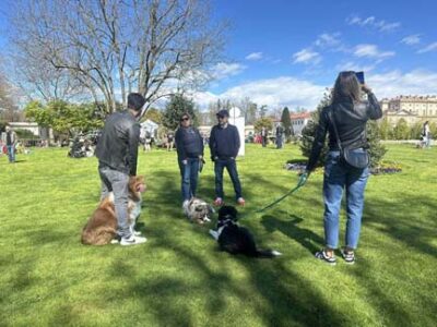 Doggy camp