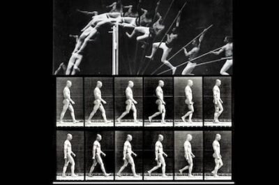 Mostra-Movimento