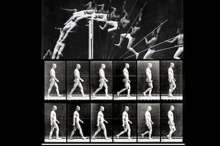 Mostra-Movimento