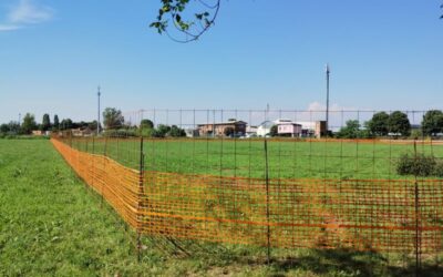dresano supermercato