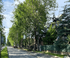 via-correggio monza