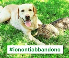 abbandono