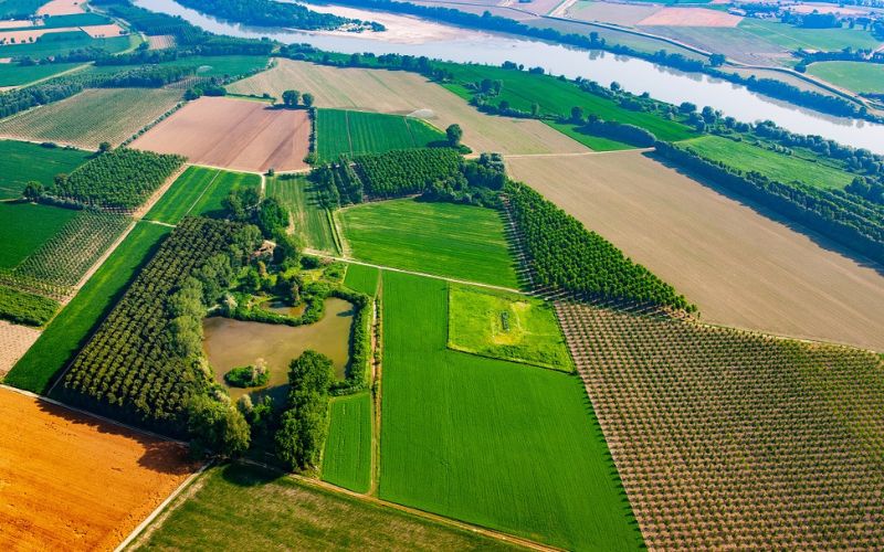 agricoltura ok
