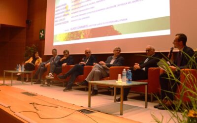 cna consiglio