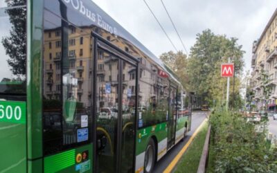 linea 973
